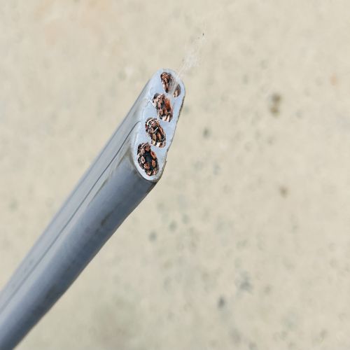 IMG_2474.jpg IMG_2474.jpg