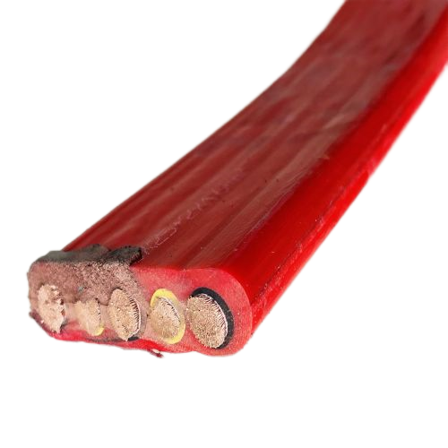 202411281015498571 202411281015498571