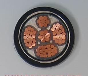 沙巴体育·(中国)官方网站 -APP下载