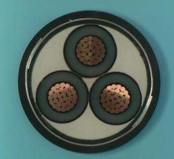 沙巴体育·(中国)官方网站 -APP下载