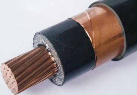 ɳ��������(�й�)�ٷ���վ -APP����