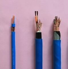 ɳ��������(�й�)�ٷ���վ -APP����