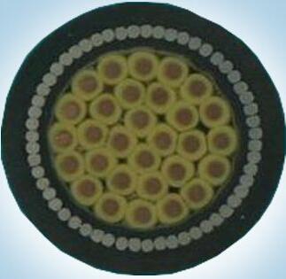 沙巴体育·(中国)官方网站 -APP下载