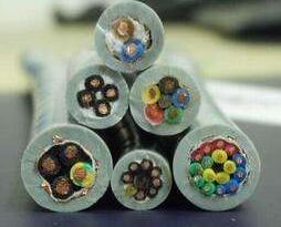 ɳ��������(�й�)�ٷ���վ -APP����