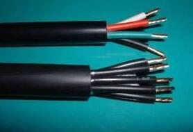 ɳ��������(�й�)�ٷ���վ -APP����