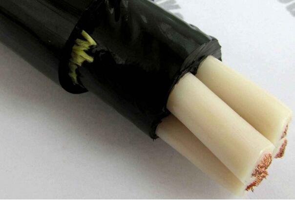 ɳ��������(�й�)�ٷ���վ -APP����