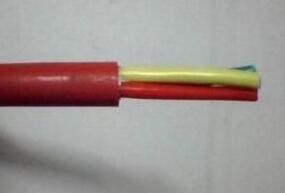 ɳ��������(�й�)�ٷ���վ -APP����