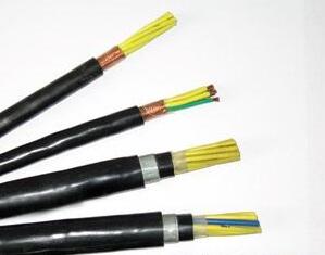 ɳ��������(�й�)�ٷ���վ -APP����