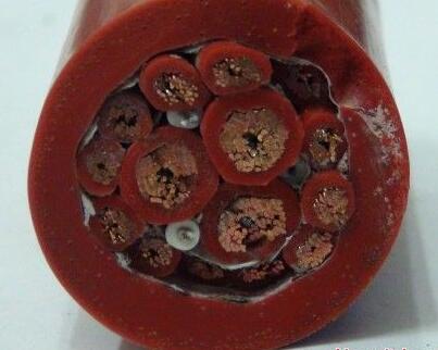 沙巴体育·(中国)官方网站 -APP下载