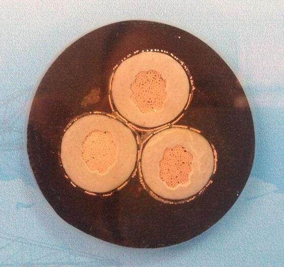 沙巴体育·(中国)官方网站 -APP下载