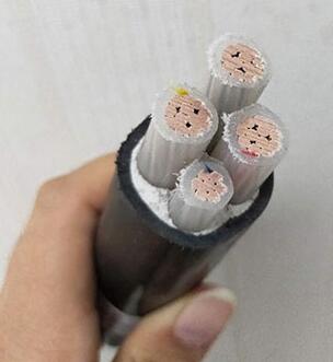 沙巴体育·(中国)官方网站 -APP下载