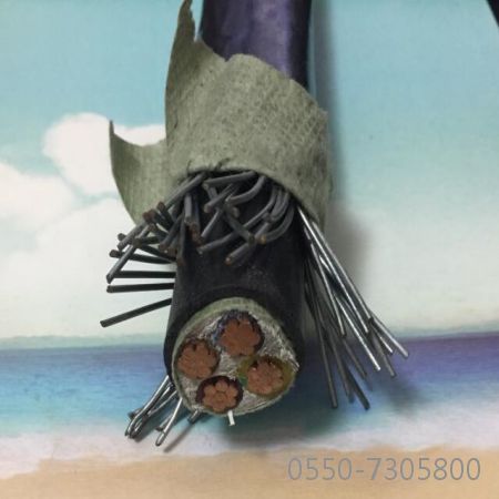 沙巴体育·(中国)官方网站 -APP下载