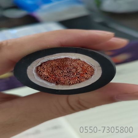 沙巴体育·(中国)官方网站 -APP下载