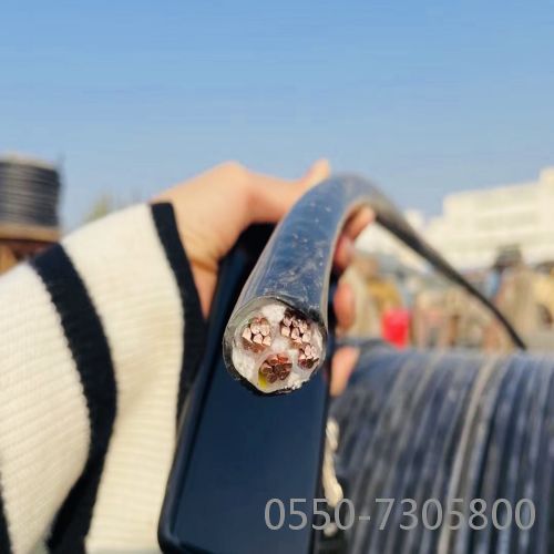 ɳ��������(�й�)�ٷ���վ -APP����