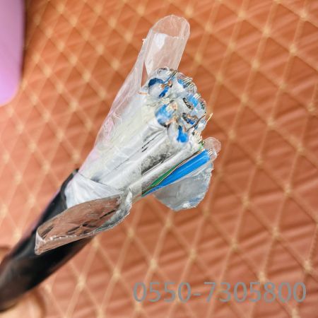 沙巴体育·(中国)官方网站 -APP下载