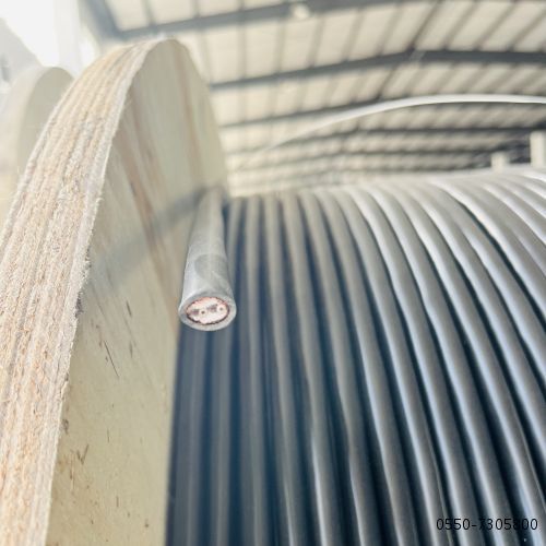 沙巴体育·(中国)官方网站 -APP下载