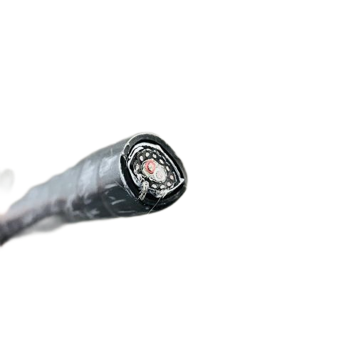 沙巴体育·(中国)官方网站 -APP下载