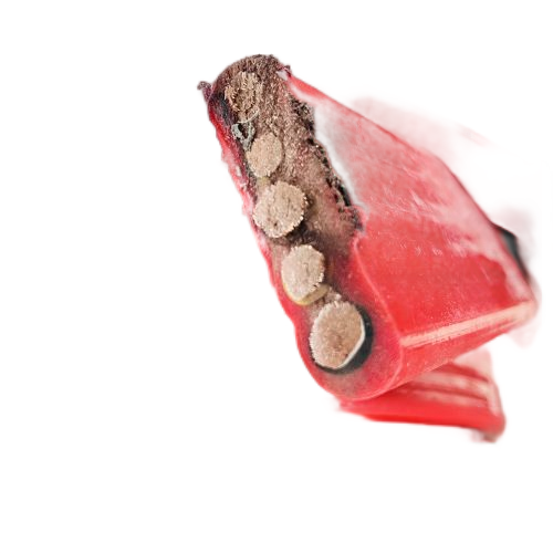 沙巴体育·(中国)官方网站 -APP下载