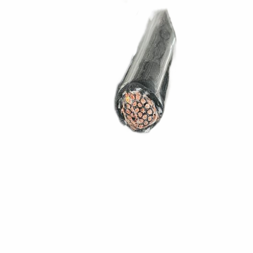 ɳ��������(�й�)�ٷ���վ -APP����