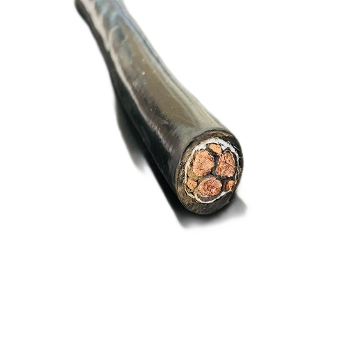 ɳ��������(�й�)�ٷ���վ -APP����