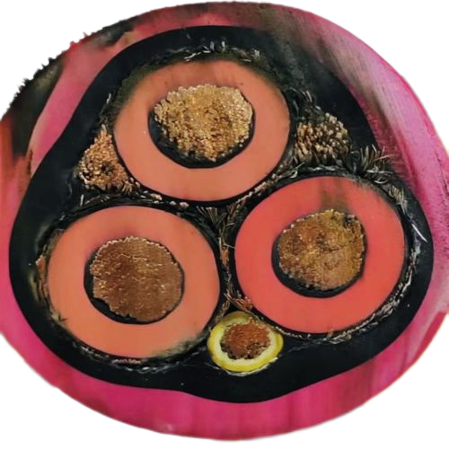 沙巴体育·(中国)官方网站 -APP下载