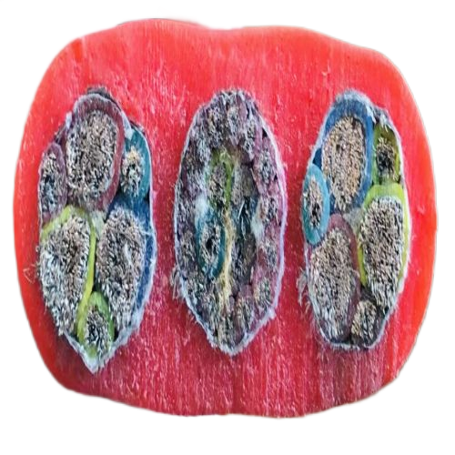 沙巴体育·(中国)官方网站 -APP下载