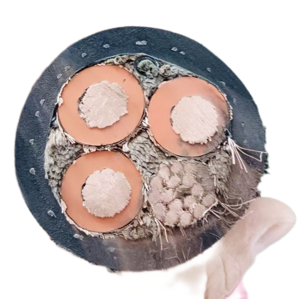 沙巴体育·(中国)官方网站 -APP下载