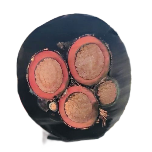 沙巴体育·(中国)官方网站 -APP下载