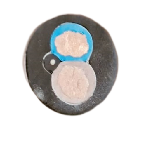 沙巴体育·(中国)官方网站 -APP下载