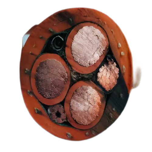 ɳ��������(�й�)�ٷ���վ -APP����