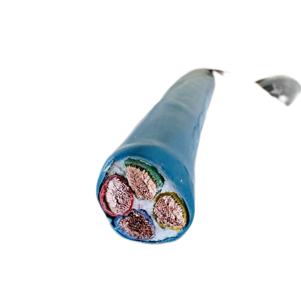 ɳ��������(�й�)�ٷ���վ -APP����