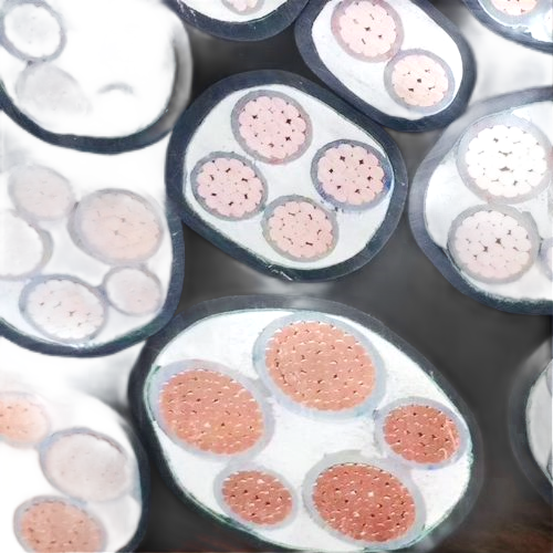 沙巴体育·(中国)官方网站 -APP下载