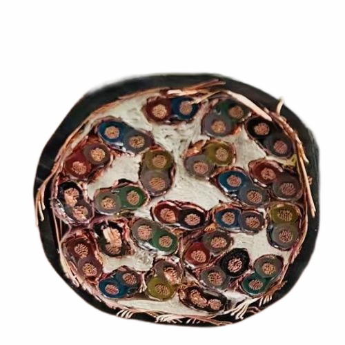 ɳ��������(�й�)�ٷ���վ -APP����