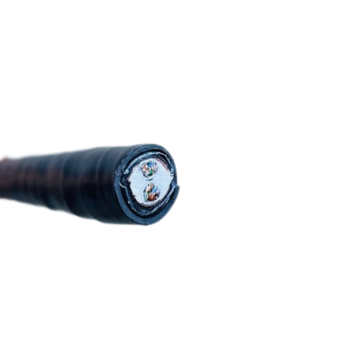 ɳ��������(�й�)�ٷ���վ -APP����