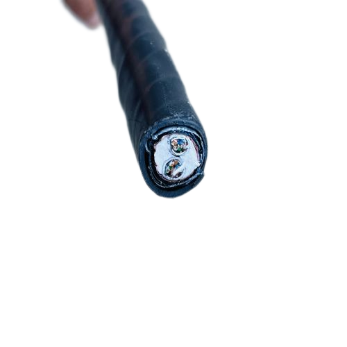 ɳ��������(�й�)�ٷ���վ -APP����