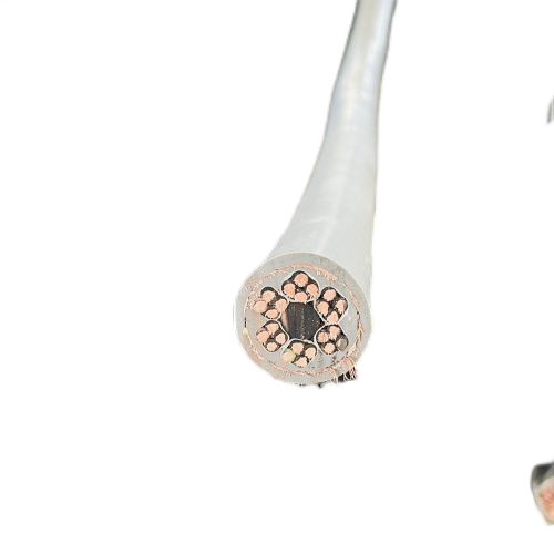 沙巴体育·(中国)官方网站 -APP下载