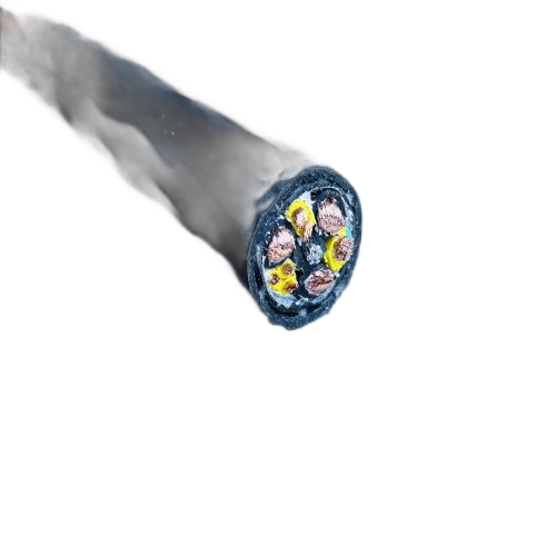 ɳ��������(�й�)�ٷ���վ -APP����