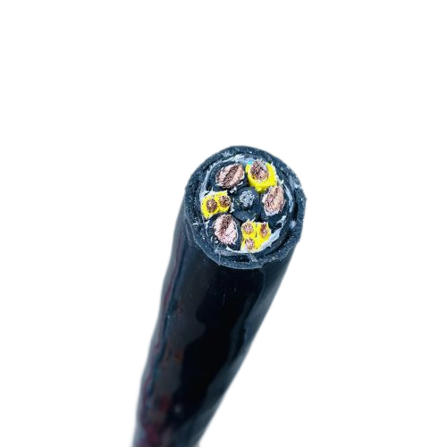 ɳ��������(�й�)�ٷ���վ -APP����