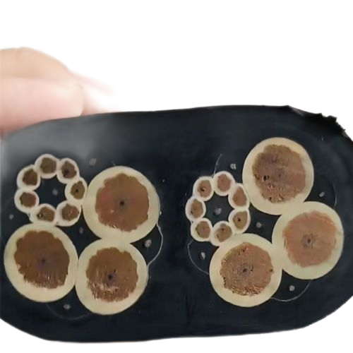 沙巴体育·(中国)官方网站 -APP下载