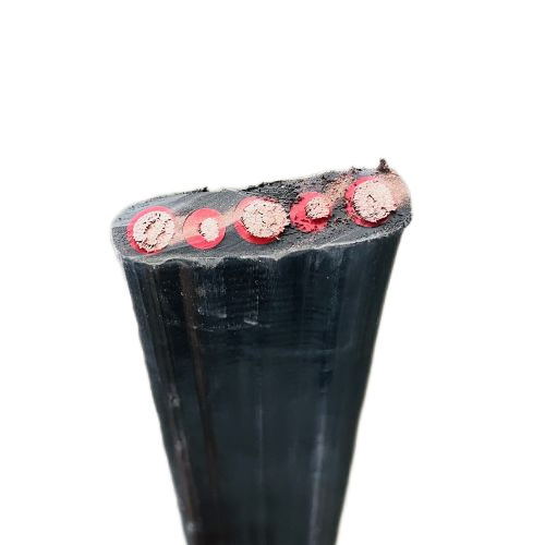 ɳ��������(�й�)�ٷ���վ -APP����