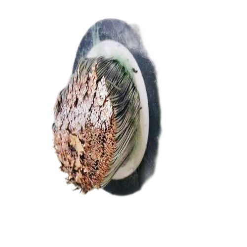 ɳ��������(�й�)�ٷ���վ -APP����