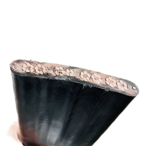 ɳ��������(�й�)�ٷ���վ -APP����