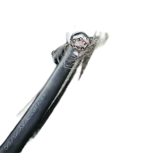 沙巴体育·(中国)官方网站 -APP下载