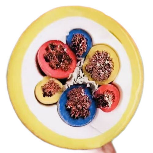 ɳ��������(�й�)�ٷ���վ -APP����