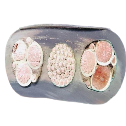 沙巴体育·(中国)官方网站 -APP下载