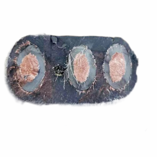 沙巴体育·(中国)官方网站 -APP下载