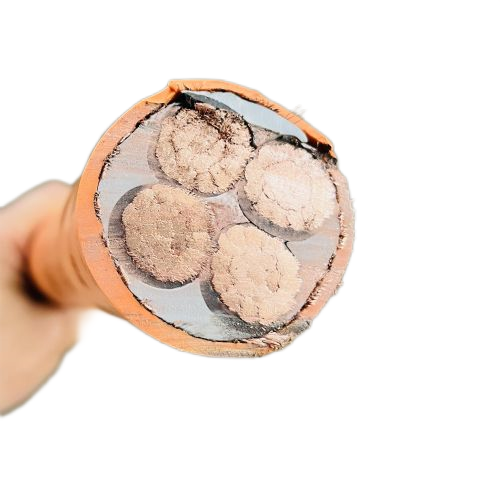 沙巴体育·(中国)官方网站 -APP下载