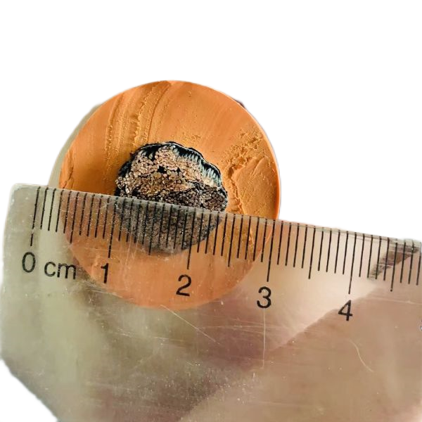 沙巴体育·(中国)官方网站 -APP下载