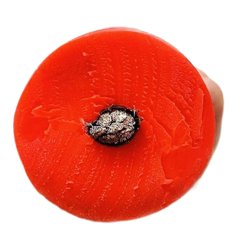 沙巴体育·(中国)官方网站 -APP下载