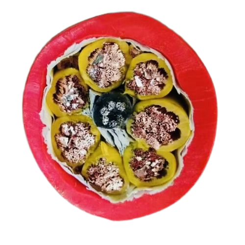 沙巴体育·(中国)官方网站 -APP下载